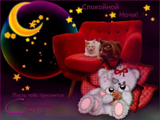 Открытка «Доброй ночи»: Спокойной ночи: открытка с милыми котиками и мишками. Тэги: Спокойной ночи, Спокойной ночи…