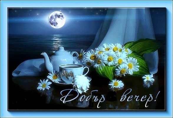 Открытка «Добрый вечер и пожелания»: Добрый вечер: чай и ромашки под луной. Тэги: Добрый вечер красивые, Доброго вече…