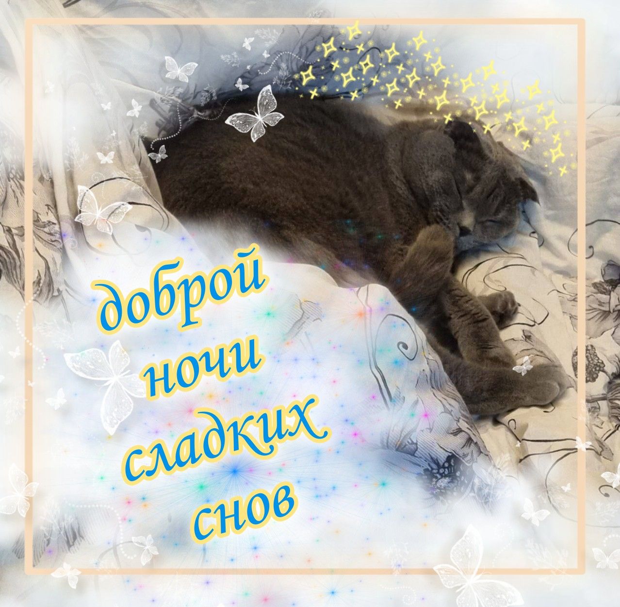 Открытка «Доброй ночи»: Спокойной ночи: милый кот и пожелание сладких снов. Тэги: Спокойной ночи, Спокойной ночи…