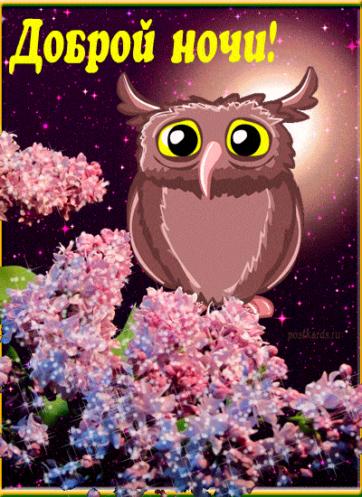 Открытка «Доброй ночи»: Доброй ночи: Милая сова в цветах сирени.