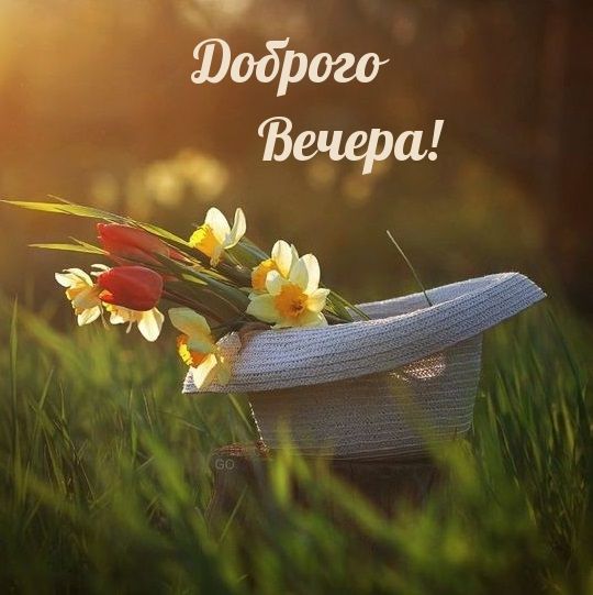 Открытка «Добрый вечер и пожелания»: Доброго вечера: «Букет в шляпе» для настроения. Тэги: Доброго летнего вечера…