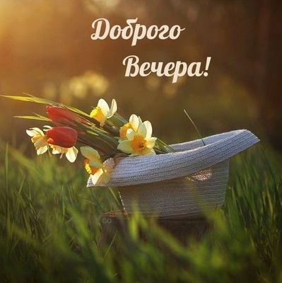 Открытка «Добрый вечер и пожелания»: Доброго вечера: «Букет в шляпе» для настроения. Тэги: Доброго летнего вечера…