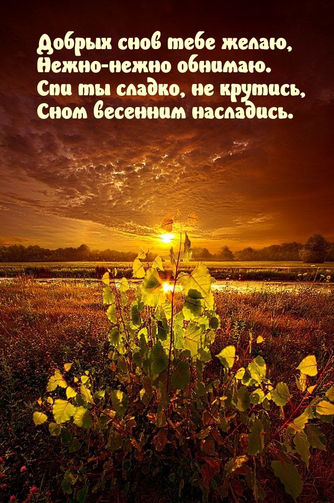 Открытка «Доброй ночи»: Доброй ночи: красивое пожелание и весенний пейзаж. Тэги: Спокойной ночи, Спокойной ночи…