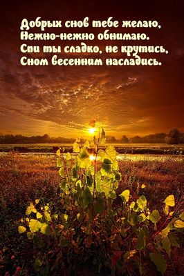 Открытка «Доброй ночи»: Доброй ночи: красивое пожелание и весенний пейзаж. Тэги: Спокойной ночи, Спокойной ночи…