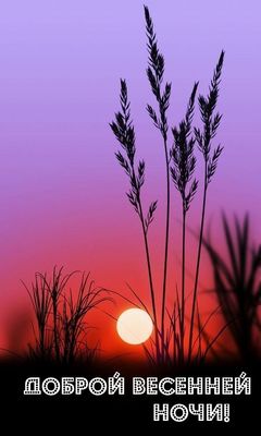 Открытка «Доброй ночи»: Доброй ночи: красивый весенний закат.