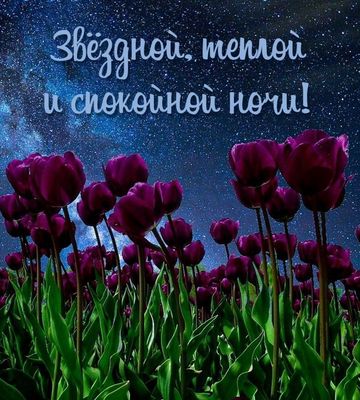Открытка «Доброй ночи»: Звездной и спокойной ночи: тюльпаны под небом. Тэги: Спокойной ночи, Спокойной ночи, красивые…
