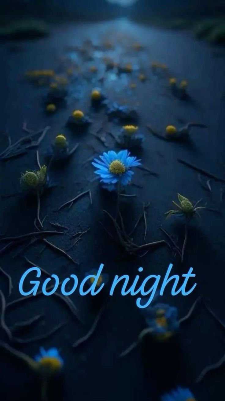 Открытка «Доброй ночи»: Спокойной ночи: Голубые цветы на ночной дороге. Тэги: Спокойной ночи, Спокойной ночи, красивые…