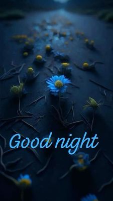 Открытка «Доброй ночи»: Спокойной ночи: Голубые цветы на ночной дороге. Тэги: Спокойной ночи, Спокойной ночи, красивые…