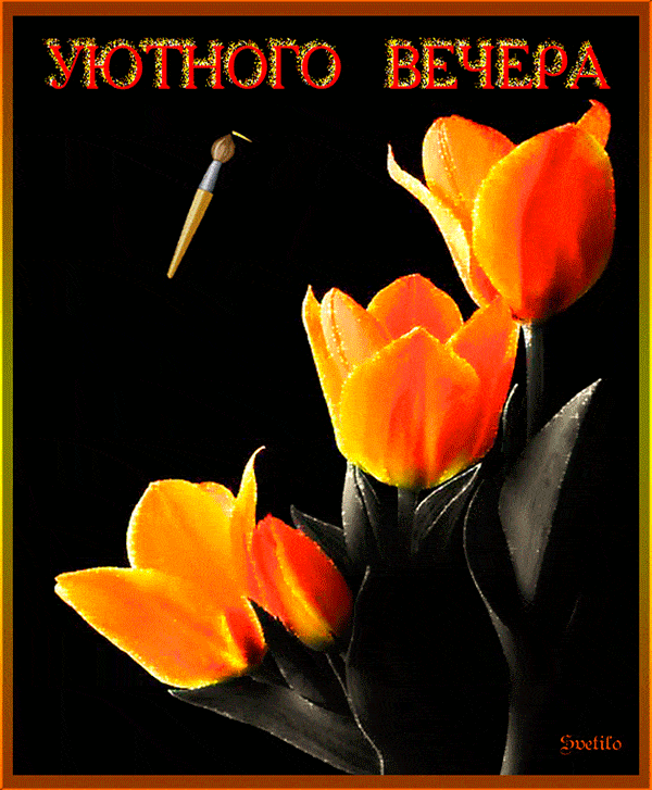 Открытка «Добрый вечер и пожелания»: Добрый вечер: стильная открытка с оранжевыми тюльпанами. Тэги: Доброго вечера и…
