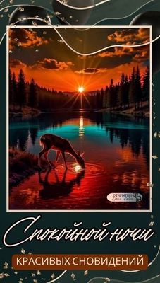 Открытка «Доброй ночи»: Спокойной ночи: красивое пожелание и олень у озера.