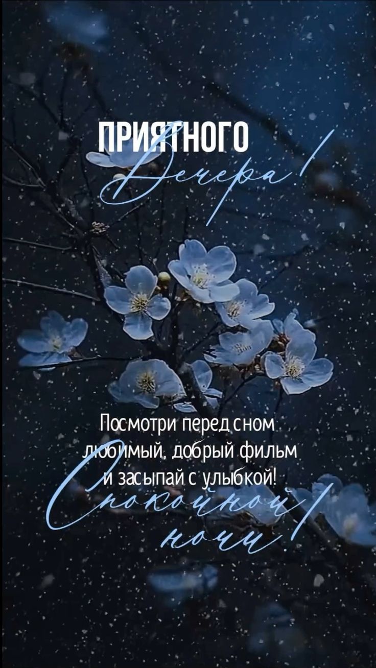 Открытка «Доброй ночи»: Добрый вечер и спокойной ночи любимому.
