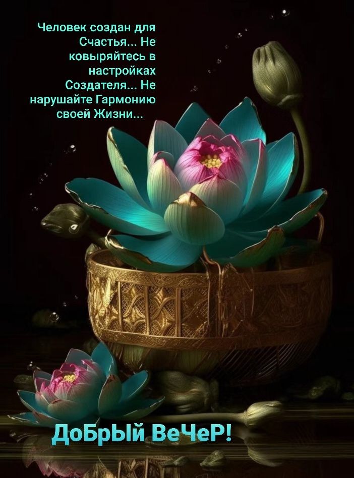 Открытка «Философский»: Добрый вечер: Мудрая открытка с лотосом для души. Тэги: Добрый вечер красивые, Необычный добр…