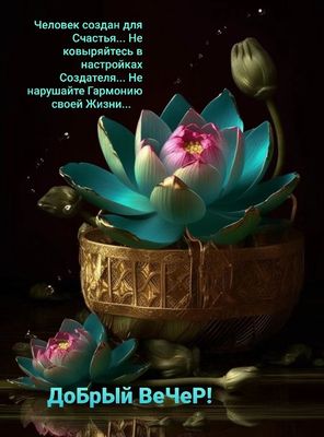 Открытка «Философский»: Добрый вечер: Мудрая открытка с лотосом для души. Тэги: Добрый вечер красивые, Необычный добр…