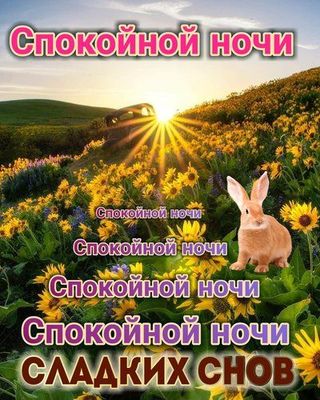 Открытка «Доброй ночи»: Доброй ночи: Сладких снов и милый кролик в цветах. Тэги: Спокойной ночи, Спокойной ночи…
