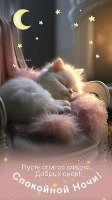 Открытка «Доброй ночи»: Спокойной ночи: милый белый кот и звездное небо. Тэги: Спокойной ночи, Спокойной ночи, с поже…