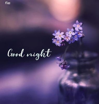 Открытка «Доброй ночи»: Спокойной ночи: нежная открытка с цветами в вазе. Тэги: Спокойной ночи, Спокойной ночи…