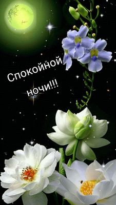 Открытка «Доброй ночи»: Спокойной ночи: магические цветы под луной. Тэги: Спокойной ночи, Спокойной ночи, красивые…