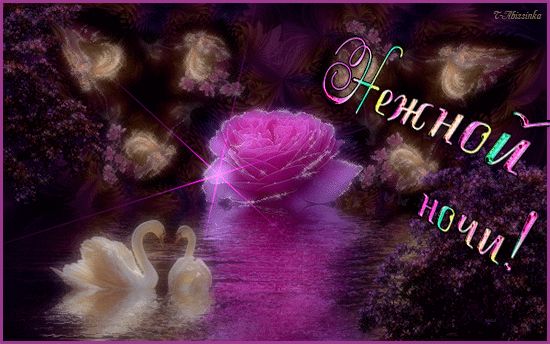 Открытка «Доброй ночи»: Спокойной ночи: Нежной ночи с лебедями и розой. Тэги: Спокойной ночи, Спокойной ночи, красивые…