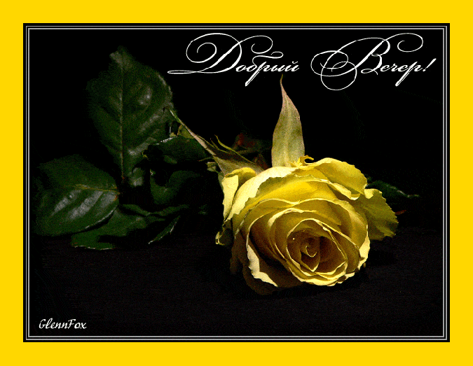 Открытка «Добрый вечер и пожелания»: Добрый вечер: Стильная желтая роза на черном фоне. Тэги: Добрый вечер женщине…