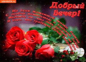 Открытка «Добрый вечер и пожелания»: Добрый вечер: «Алые розы и мудрое пожелание». Тэги: Доброго вечера и хорошего на…