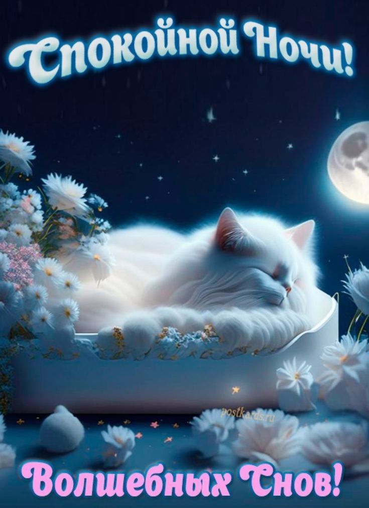 Открытка «Доброй ночи»: Спокойной ночи! Милый белый кот и волшебные сны. Тэги: Спокойной ночи, Спокойной ночи, с поже…