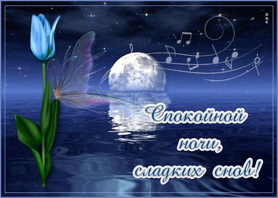 Открытка «Доброй ночи»: Спокойной ночи: красивая открытка с луной и цветком. Тэги: Спокойной ночи, Спокойной ночи…