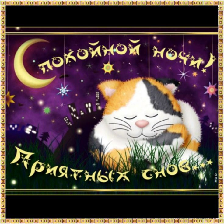 Открытка «Доброй ночи»: Спокойной ночи и сладких снов: милый котик. Тэги: Спокойной ночи, Спокойной ночи, с пожелания…