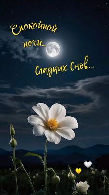 Открытка «Доброй ночи»: Спокойной ночи: Лунная ночь и белый цветок. Тэги: Спокойной ночи, Спокойной ночи, красивые…