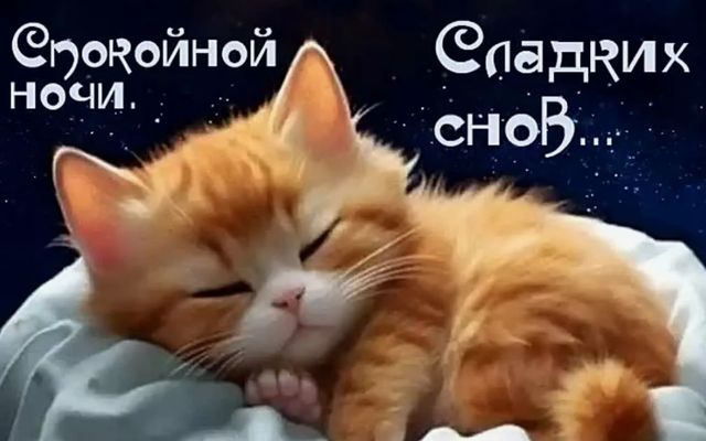 Открытка «Доброй ночи»: Спокойной ночи: рыжий котенок и сладкие сны. Тэги: Спокойной ночи, Спокойной ночи, с пожелани…