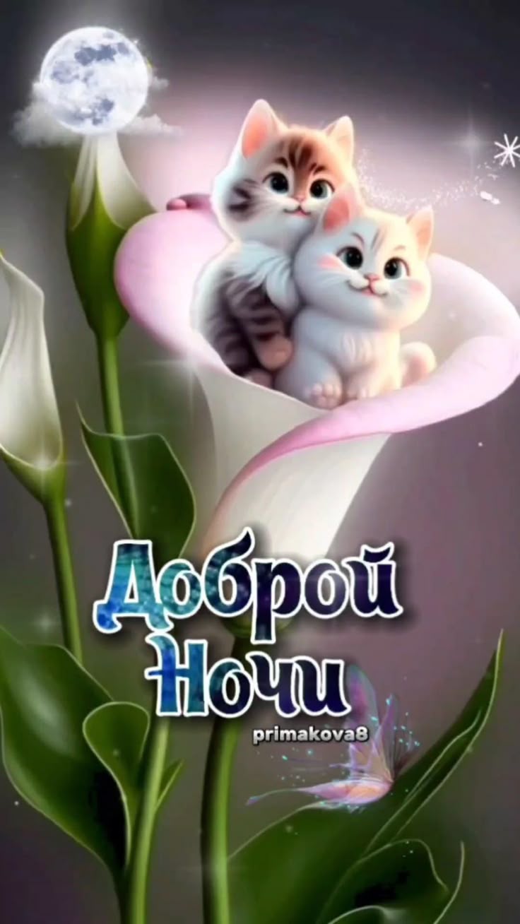 Открытка «Доброй ночи»: Доброй ночи: Милые котята в цветке каллы.