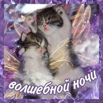 Открытка «Доброй ночи»: Доброй ночи: «Волшебные котята» с крыльями. Тэги: Спокойной ночи, Спокойной ночи, с пожелания…