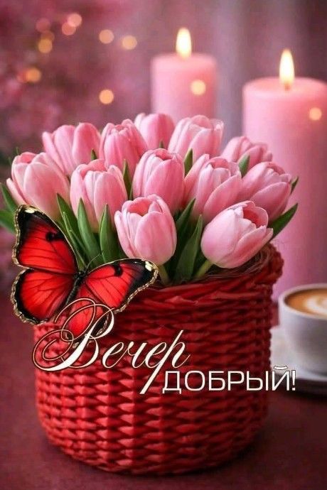 Открытка «Добрый вечер и пожелания»: Добрый вечер: нежные тюльпаны и красная бабочка. Тэги: Доброго вечера и хорошего…