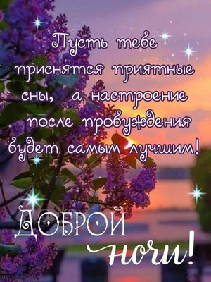Открытка «Доброй ночи»: Доброй ночи: приятные сны и весенняя сирень. Тэги: Спокойной ночи, Спокойной ночи, красивые…