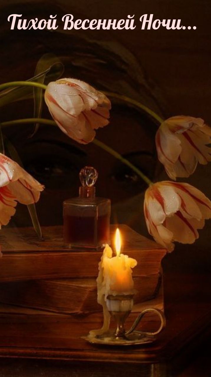 Открытка «Доброй ночи»: Доброй ночи: «Тихой весенней ночи» со свечой. Тэги: тихий