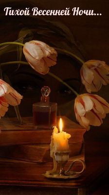 Открытка «Доброй ночи»: Доброй ночи: «Тихой весенней ночи» со свечой. Тэги: тихий