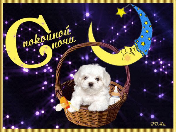 Открытка «Доброй ночи»: Спокойной ночи: щенок в корзинке и месяц. Тэги: Спокойной ночи, Спокойной ночи, с пожеланиями…