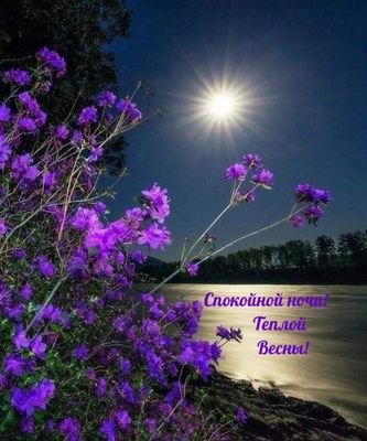 Открытка «Доброй ночи»: Спокойной ночи: Теплой весны и лунной сонаты. Тэги: Спокойной ночи, Спокойной ночи, красивые…