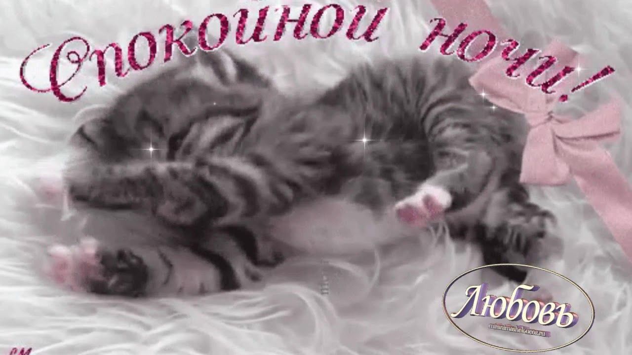 Открытка «Доброй ночи»: Спокойной ночи: Спящий котенок и нежное пожелание. Тэги: Спокойной ночи, Спокойной ночи…