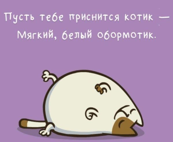 Открытка «Доброй ночи»: Спокойной ночи: прикольный белый котик во сне.