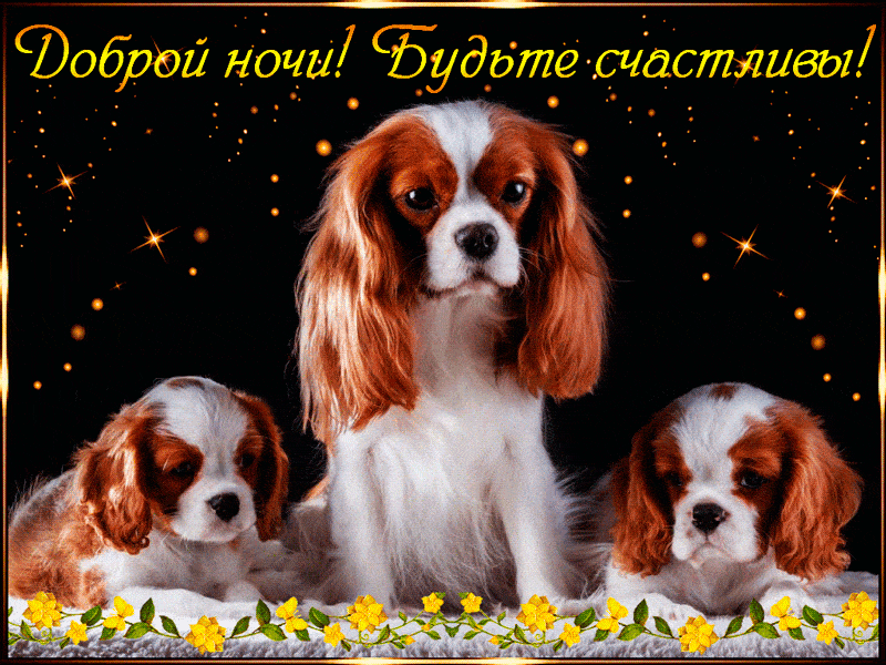Открытка «Доброй ночи»: Доброй ночи! Открытка со спаниелями «Будьте счастливы». Тэги: Спокойной ночи, Спокойной ночи…