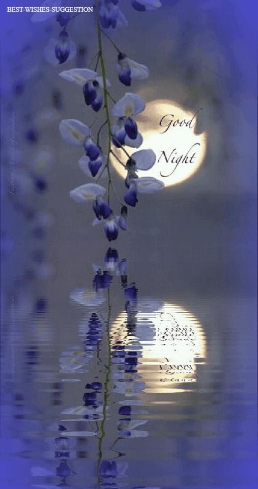 Открытка «Доброй ночи»: Спокойной ночи: Луна и нежная глициния. Тэги: Спокойной ночи, Спокойной ночи, красивые…