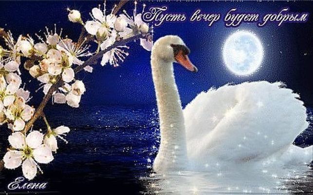 Открытка «Добрый вечер и пожелания»: Добрый вечер: лебедь под луной и цветы. Тэги: Добрый вечер красивые, Добрый вечер…