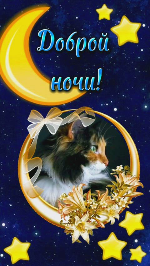 Открытка «Доброй ночи»: Открытка доброй ночи: пушистый кот и звезды. Тэги: Спокойной ночи, ночной, Спокойной ночи…