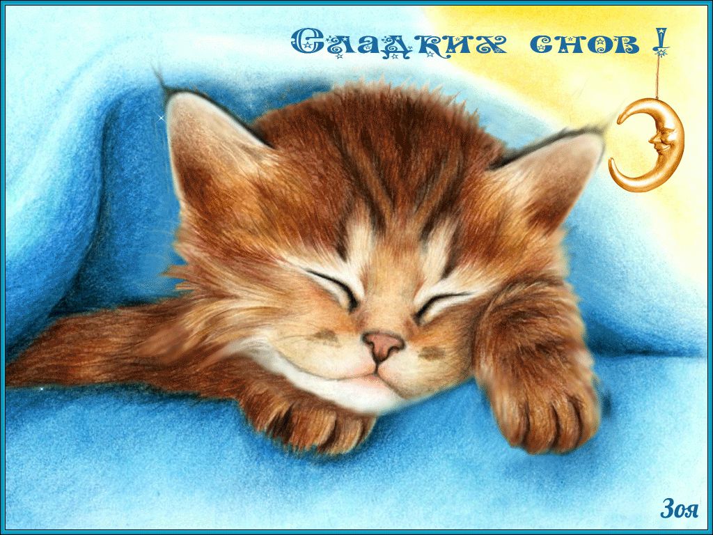 Открытка «Доброй ночи»: Доброй ночи: Спящий рыжий котик и Сладких снов!. Тэги: Спокойной ночи, Спокойной ночи, с поже…
