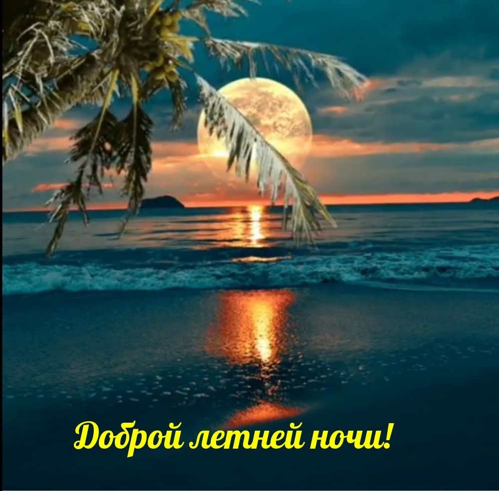 Открытка «Доброй ночи»: Доброй ночи: «Лунная дорожка на море» с пальмами.