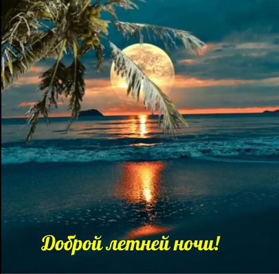 Открытка «Доброй ночи»: Доброй ночи: «Лунная дорожка на море» с пальмами.