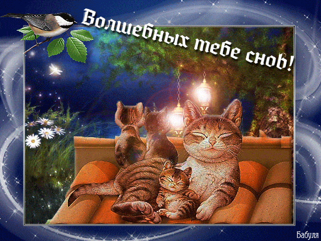 Открытка «Доброй ночи»: Доброй ночи: «Волшебных тебе снов» с котиками. Тэги: Спокойной ночи, Спокойной ночи, с пожела…