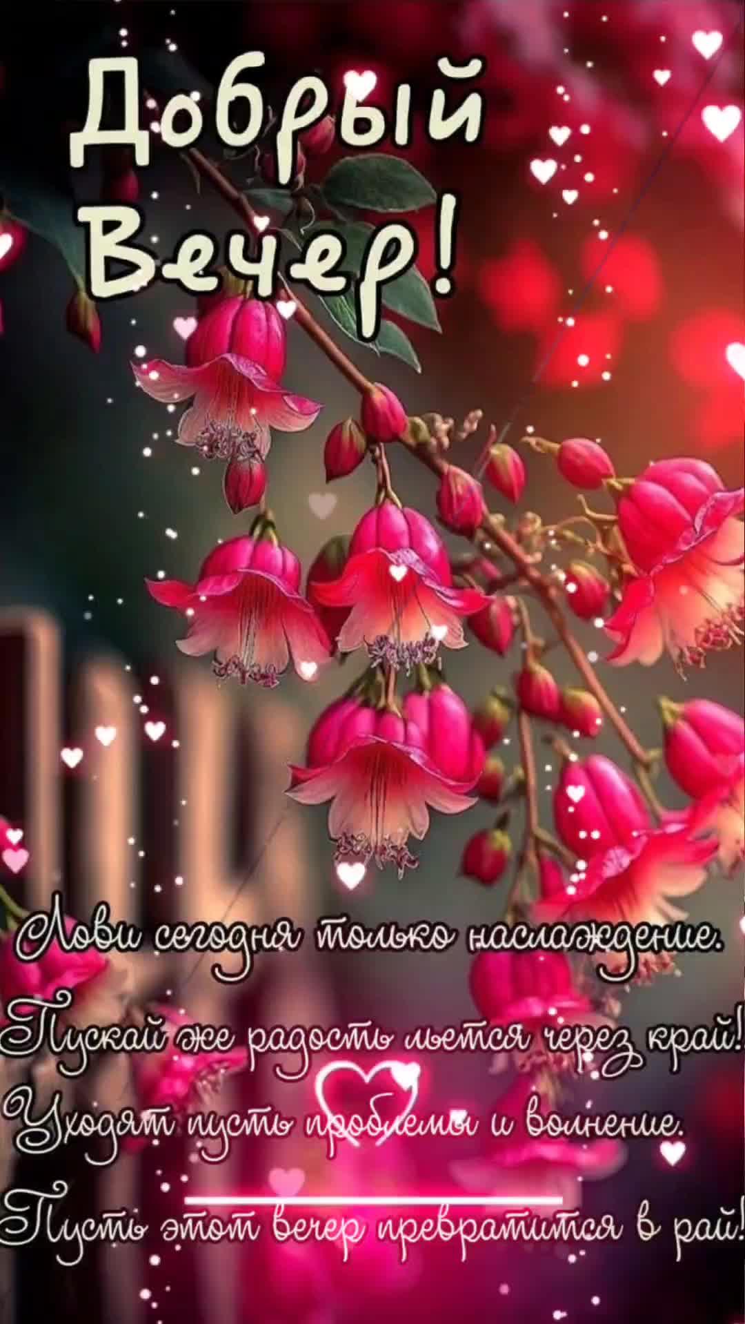 Открытка «Добрый вечер и пожелания»: Добрый вечер: «Прекрасные цветы и сияние». Тэги: Доброго вечера и хорошего настр…
