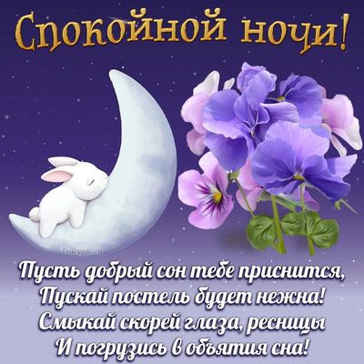 Открытка «Доброй ночи»: Спокойной ночи: милый зайка на луне и фиалки. Тэги: Спокойной ночи, Спокойной ночи, с пожелан…