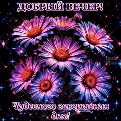 Открытка «Добрый вечер и пожелания»: Добрый вечер: «Мерцающие цветы» для настроения. Тэги: Добрый вечер красивые…